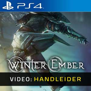 Winter Ember Video-opname