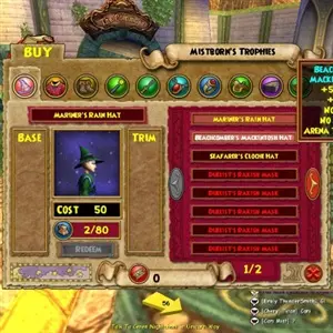 Wizard101 - Regenhoed