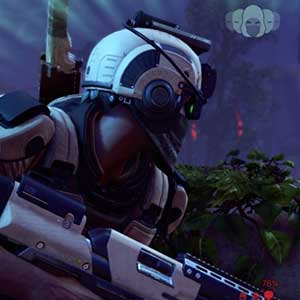 De rug van de vijand